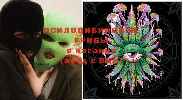 прущая мука Верея