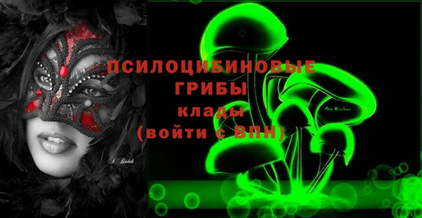 прущая мука Верея