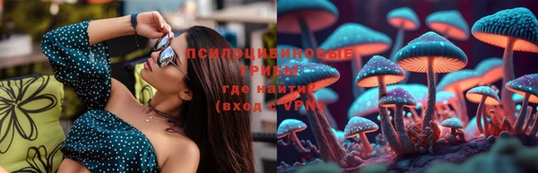 прущие крисы Верхний Тагил