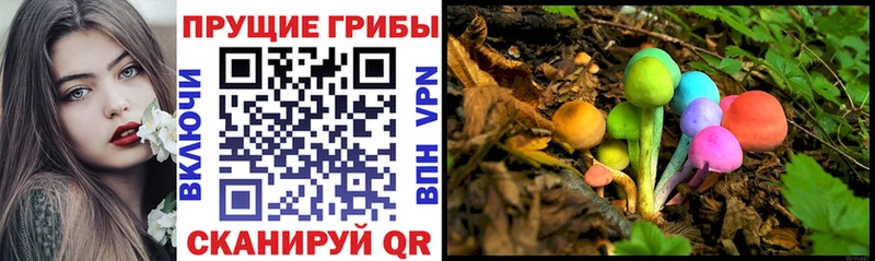 Купить  Чулым  Галлюциногенные грибы ЛСД 