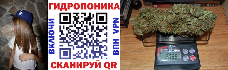 Купить где Чулым Каннабис гибрид